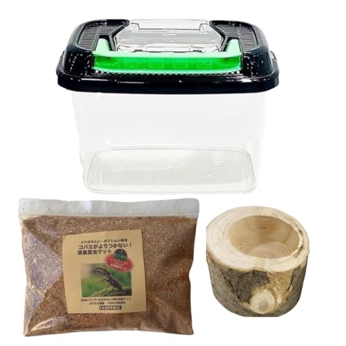【売り切り特価】クワガタムシ カブトムシ　飼育用品セット Amazon | カブトムシ＆クワガタムシ 飼育セット ☆amazon.co.jp